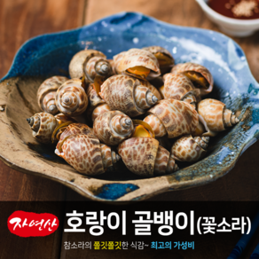 자연산 호랑이골뱅이 꽃소라 1kg 골뱅이 고동소라 갯고동 냉동, 1개, 호랑이골뱅이 80/120사이즈 1kg