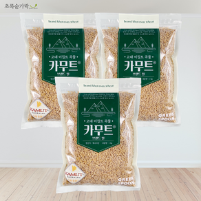 [초록숟가락] 카무트1kg 슈퍼푸드 호라산밀 캐나다산 당뇨, 3개, 1kg