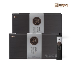 CJ웰케어 한뿌리 흑삼진 녹용스틱, 240ml, 2개