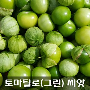 [해피플라워] 토마틸로 토마티요 그린 씨앗 300립 / 봄 여름 파종 웰빙푸드 종자, 1개