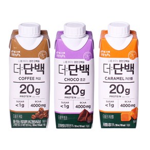 빙그레 더단백 드링크 프로틴음료 250ml 3종 기획