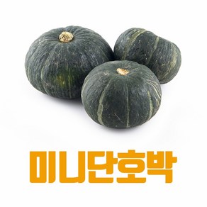 [산지직송] 국내산 미니단호박 보우짱 달콤 미니밤호박 2kg 1박스