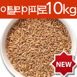 하늘정연 Fao 이탈리아 파로 10kg 곡물 파로쌀 고대곡물 엠머밀 효능 엠머파로, 10개, 1kg