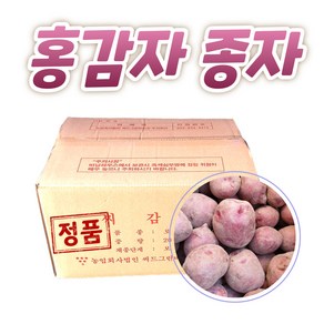 강원도 홍감자 씨감자 4kg 10kg 20kg, 홍감자 4kg, 1개