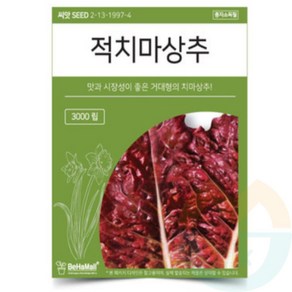 채소씨앗 쌈채소 종자 상추씨앗 웰빙적치마 3000립 채소씨 봄 텃밭 상추씨 파종 야채오늘출발, 1개, 000원)