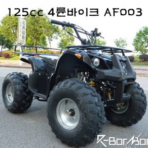 R-BON 125CC 4륜바이크 AF-003