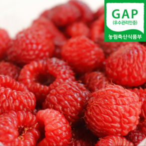 (자연마을) GAP 냉동 산딸기 청도산 라즈베리 250g 1팩