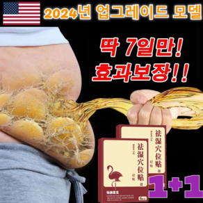 1+1[빠른 배송] 한방 건강 치습 혈자리 패치 미국 기술 패치 뜸쑥 패치 붙이는 다이어트 패치 /혈액순환/비만관리/신체 제습, 기본값*1, 2개