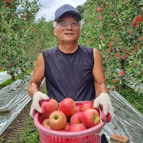 경북 고당도 부사 사과 가정용/선물용, 1박스, 가정용 부사 2kg(소과/11~13과)