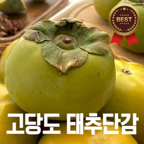 제철과일 고당도 태추단감 배 단감, 1개, 2kg(5-16과)