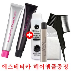 시세이도 프리미언스 엔리치 염색약80g+에스테티카 헤어앰플증정/새치전용 염모제/멋내기 유행칼라 염모제