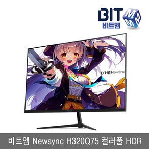 -비트엠- Newsync H320Q75 32인치 QHD 컬러풀 HDR 광시야각 무결점, 1. H320Q75 무결점