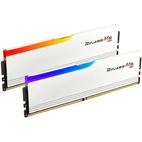 G.SKILL Ripjaws M5 RGB 시리즈 인텔, 매트 화이트 _48GB (2x24GB), 2개