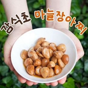 감식초마늘장아찌 깐마늘 국산 순창 향적원, 500g, 1개