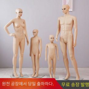 디스플레이 전신 마네킹 의류 가게 소품 매장 전시대 촬영 전시용 모델 행사장 촬영용 가족, 표준, 여자 모델 001