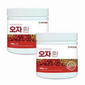 백장생 국내산 오자환 250g, 2개