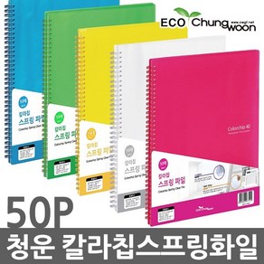 청운 A4 칼라칩 스프링 클리어화일 50P 클리어파일, 1개, 투명