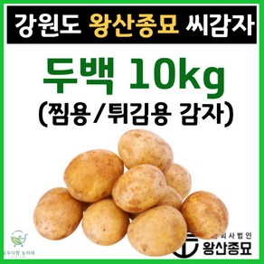 왕산종묘 두백 씨감자 [ 두백 10kg ] 쪄먹는감자 분감자 튀김용 감자 감자씨앗 햇감자 정품씨감자 대서 두백 홍영 자영 백작 왕산 수미 씨감자 강원도 씨감자, 두백 10kg ( 쪄먹는 감자 / 튀김용 감자), 1개