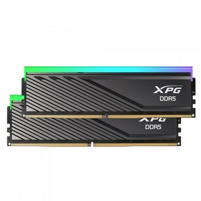 ADATA ADATA XPG DDR5-6400 CL32 LANCER BLADE RGB 블랙 패키지 (32GB(16Gx2)), 2개