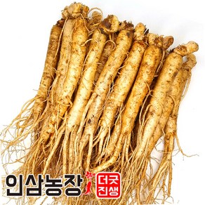 더굿진생 인삼 수삼 금산인삼 원수삼 난발삼 파삼 삼계 350g, (세척안함)알뜰형 350g(11~15뿌리), 1개