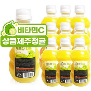 제주랑 청귤 주스, 320ml, 10개