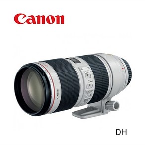 캐논 EF 70-200mm F2.8L IS II USM / 새아빠백통렌즈 망원렌즈 망원줌렌즈 DH