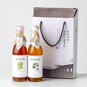 전라도청년 저온압착 청년 참기름350ml+들기름350ml 세트 선물세트, 2개, 350ml