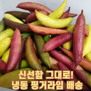 농장 직송! 신선한 냉동 핑거라임 130g Finge Lime 새콤달콤 캐비어라임 톡 터지는 국내산 알맹이과일 희귀과일 열대과일 톡톡튀는 케비아라임 비타민C 신맛 비타민과일, 1박스, 냉동 130g