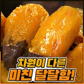 [해남직송] 달콤한 꿀 고구마 밤 호박, 중상 3kg, 1개