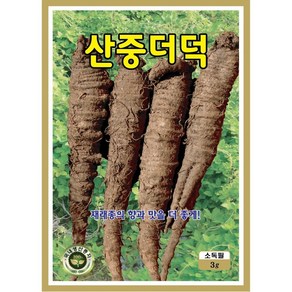 [OK씨앗] [산중더덕] 더덕씨앗 종자(오케이씨앗), 1개