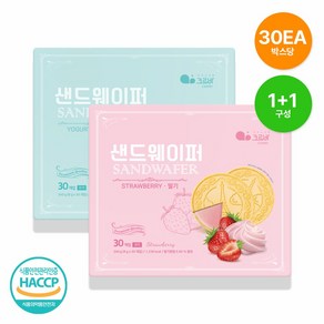 (1+1) 위드쿡 샌드웨이퍼 (요거트/딸기), 240g