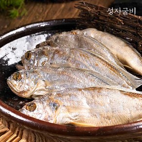 영광 굴비 간편 진공포장 진공포장굴비 20미 800g 구이 찌개용 백반집굴비