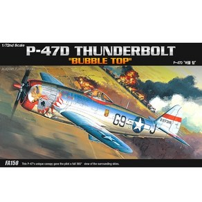 1:72 P-47D(버블 탑) (12491), 1개