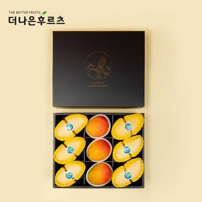 백화점 식품관 직수입 태국망고 6입+애플망고 3입 선물세트 3.3kg 내외, 태국망고6입 + 애플망고3입, 1개