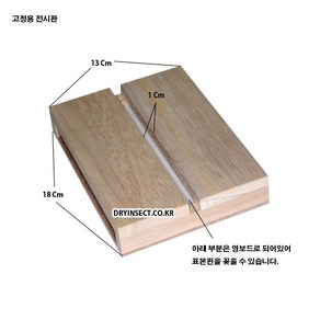 나비표본 고정 전시판, 1개