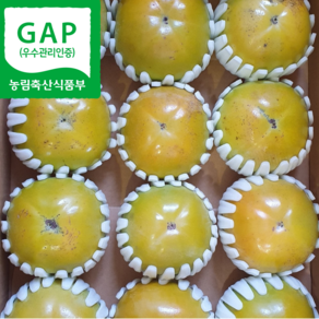 [당도보장] GAP 인증 밀양 고당도 단감 5kg 10kg 부유단감 대봉감 태추단감 특대과 단감, 1박스, 부유단감 10kg 특대과(34~40과)