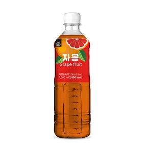 까르페데이 과일음료 베이스/대호 액상 1000ml, 1L, 1개