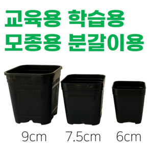 <국내생산> 20개 세트 삽목화분 플분 사각화분 6cm 7.5cm 9cm 검정화분 다육화분 모종화분 교육용화분 학습용화분 분갈이화분, 검정