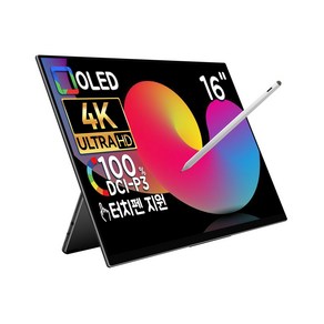 EHOMEWEI 이홈웨이 포터블모니터 휴대용모니터 듀얼모니터 서브모니터 2.5K 4K OLED QLED 100%DCI-P3 맥OS 윈도우 덱스 게임콘솔 미니PC 호환, E16R9, 40.64cm