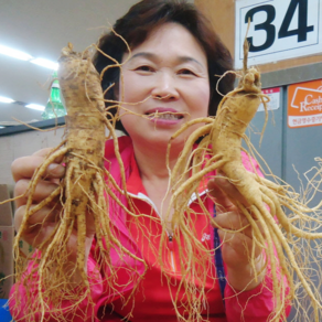 금산인삼 수삼 6년근 난발삼 파삼 도매시장 강화 파지, 1-1. [세척안함] 11~12뿌리 500g, 1개