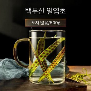 백두산 말린 일엽초 500g 무첨가 와위 골비초 한방재료