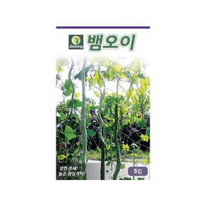 (DN) 뱀오이 씨앗(5립), 1개