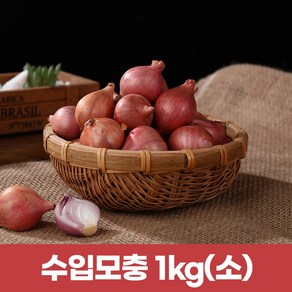 수입모충 샬롯 작은양파1kg (작은사이즈), 1kg, 1개