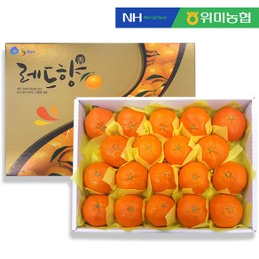 [제주위미농협] 고당도 제철 레드향 (가정용/선물세트), 1세트, 5kg (15-25입) 선물세트