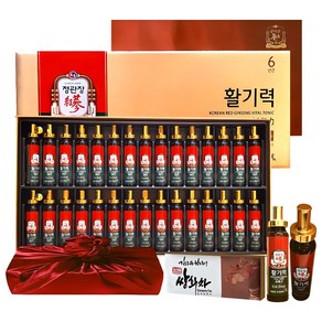 정관장 6년근 홍삼정 활기력 30세트(홍삼농축액 비타민함량) 600ml+쇼핑백 골프 여행 추석 설 명절 선물세트(보자기포함)