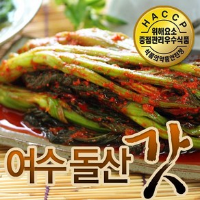 명인손맛 여수 돌산 갓김치, 갓김치 2kg, 2kg, 1개