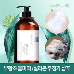 세라클리닉 물미역 대용량 샴푸1000ml 손상모발 케어, 1L, 1개