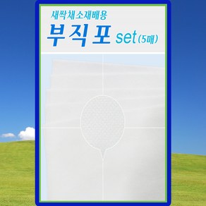 다농 새싹채소 재배용 부직포 5매 새싹키우기