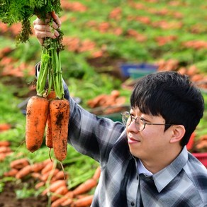 제주 구좌당근 무농약 유기농 흙당근 쥬스용 미니당근 3kg 5kg 10kg, 1박스, 유기농흙당근(상) 3kg