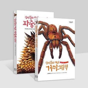 진짜진짜재밌는 거미+파충류그림책 유아 어린이 백과, 단품, 단품